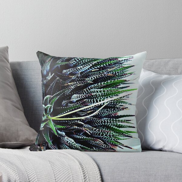 Aperçu de l'œuvre Haworthia attenuata créée et vendue par LouJay.