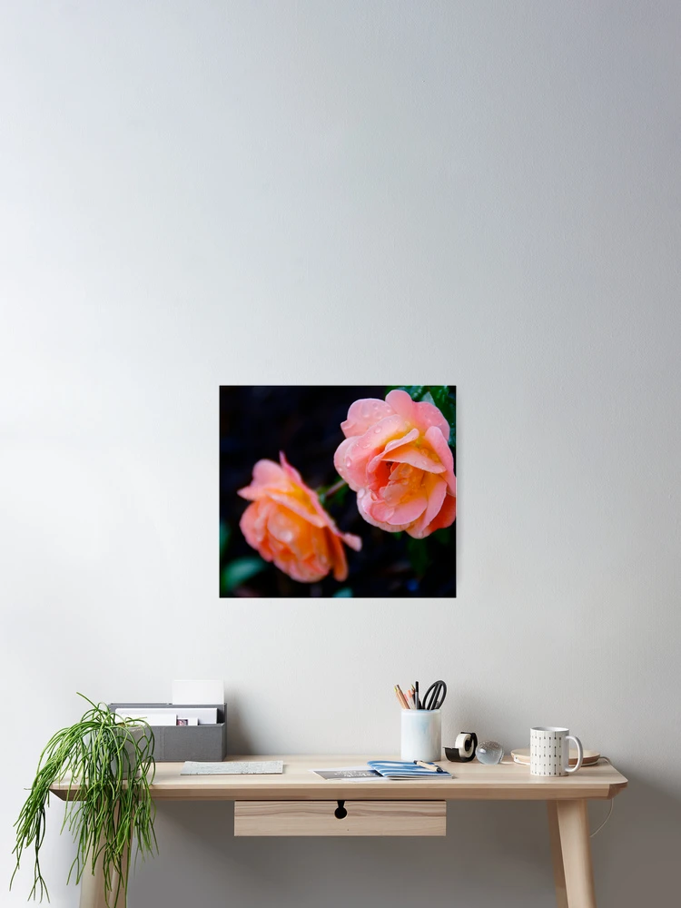 Thumbnail 2 of 3, Poster, Two Roses designed and sold by MoonLiteStudio.