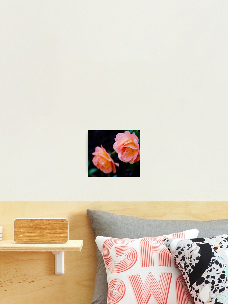 Thumbnail 2 of 3, Photographic Print, Two Roses designed and sold by MoonLiteStudio.