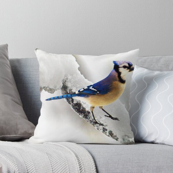Item preview, Too Cool designed and sold by kimbarose.