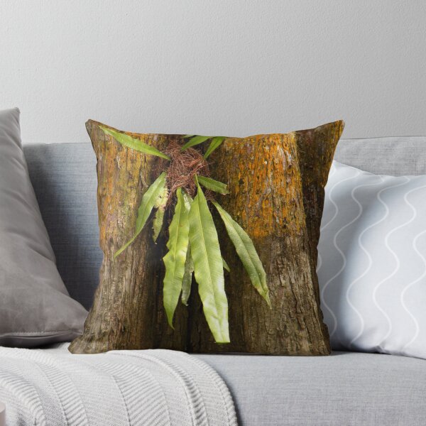 Item preview, Growth on the Cypress Tree designed and sold by Rosalie Scanlon.