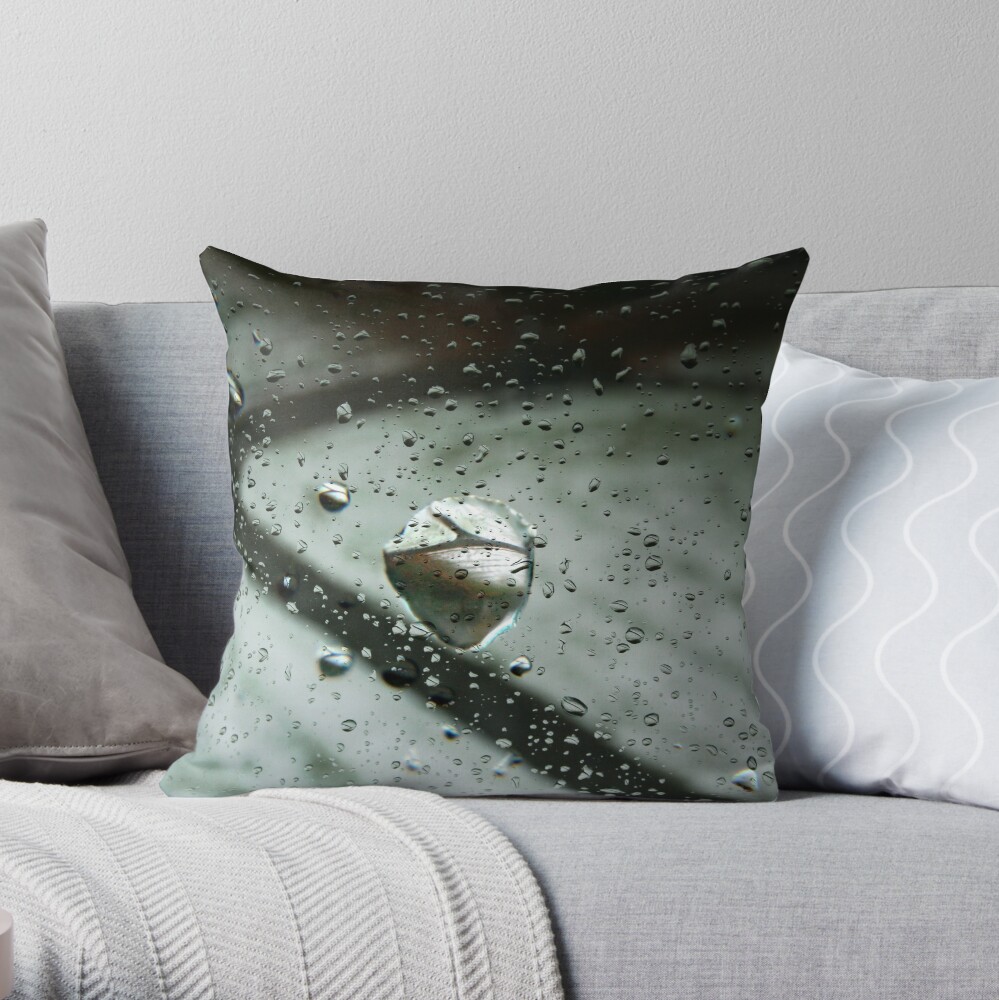 Raindrop Refractions Throw Pillow
