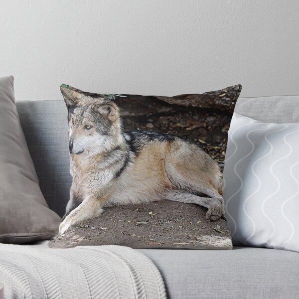 Item preview, Mexican Wolf Poses designed and sold by Judy Ann  Grant.