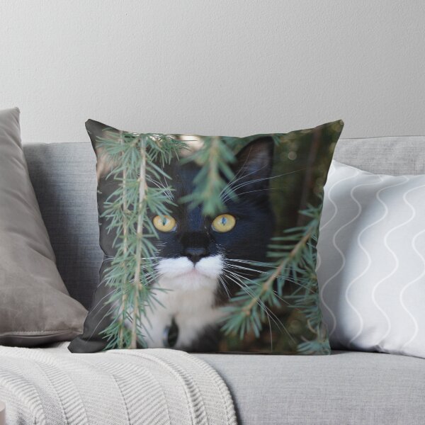 Item preview, Eugene Kitten designed and sold by BarbaraAnderson.