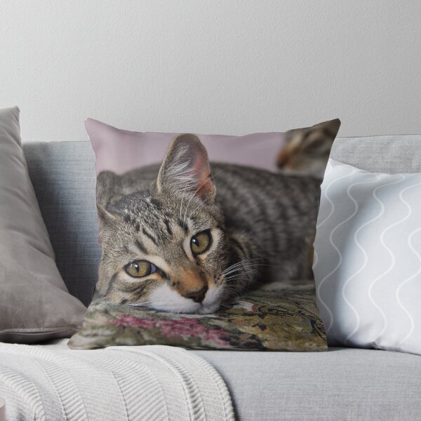 Item preview, Tucked Out..home required designed and sold by Claire  Farley.