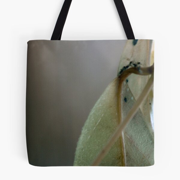 Item preview.