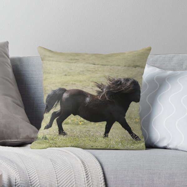 Shetland Stallion Throw Pillow