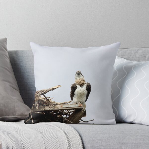 Item preview, Now It's Getting Embarrassing designed and sold by byronbackyard.