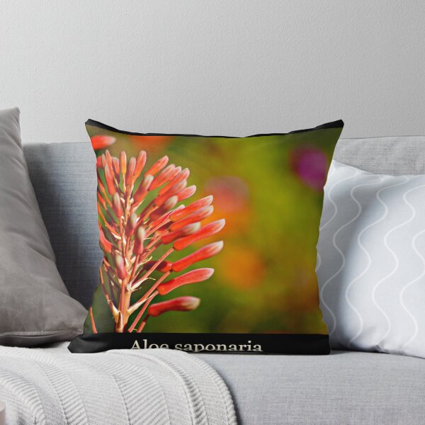Item preview, Aloe saponaria designed and sold by Bron Praslicka.