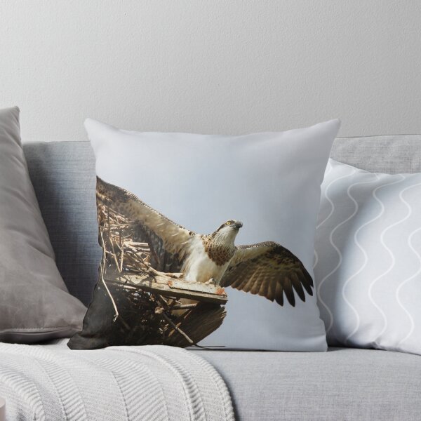 Item preview, I Think I Can Do It! designed and sold by byronbackyard.