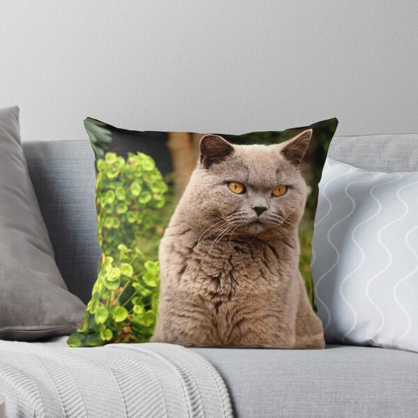 Item preview, Mizzer the Mafia Cat designed and sold by Pauline Winwood.