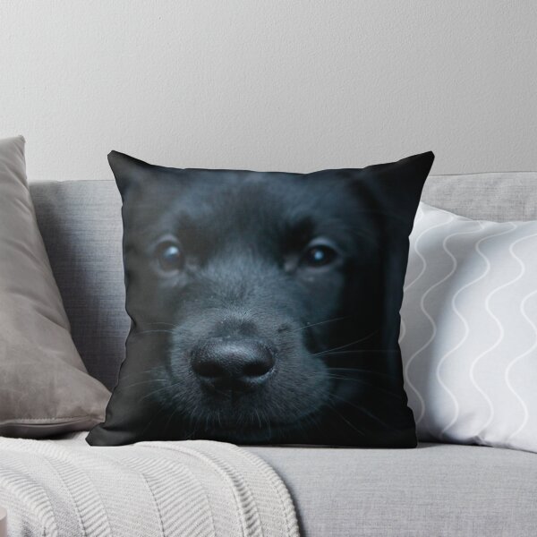 Item preview, Nosey  designed and sold by k9kirsty.