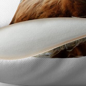 highland cattle pillow