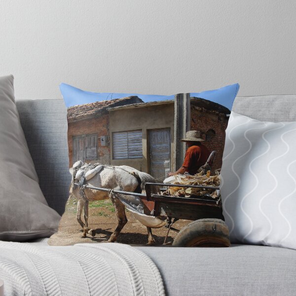 Artikelvorschau, Horse & Cart, Cienfuegos, Cuba entworfen und verkauft von buttonpresser.