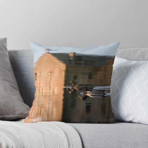 Item preview, House, ducks and reflection designed and sold by Sergey Bezberdy.