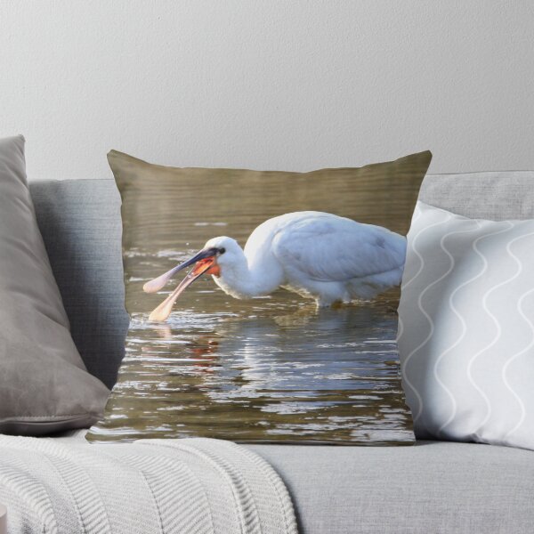 Item preview, Spoonbill designed and sold by procapture.