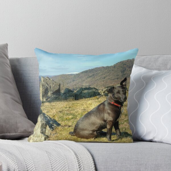 Item preview, Tarn in Rusland designed and sold by Jamie  Green.