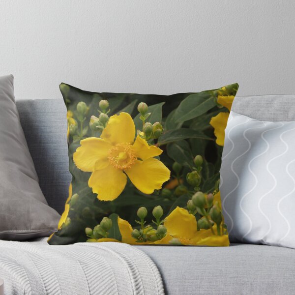 Item preview, Hypericum Calcynum designed and sold by WatscapePhoto.