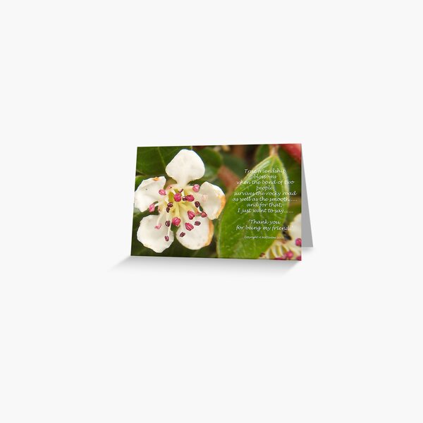 Friendship Greeting Card