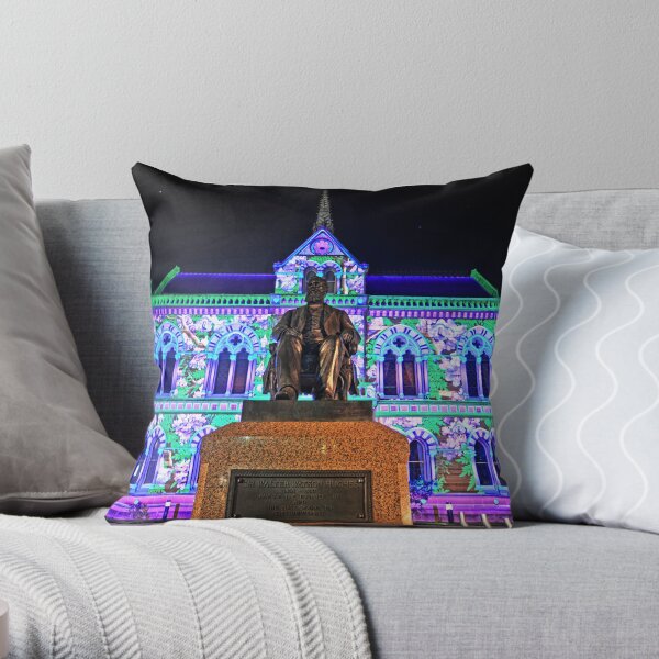 Mitchell Building Northern Lights Throw Pillow