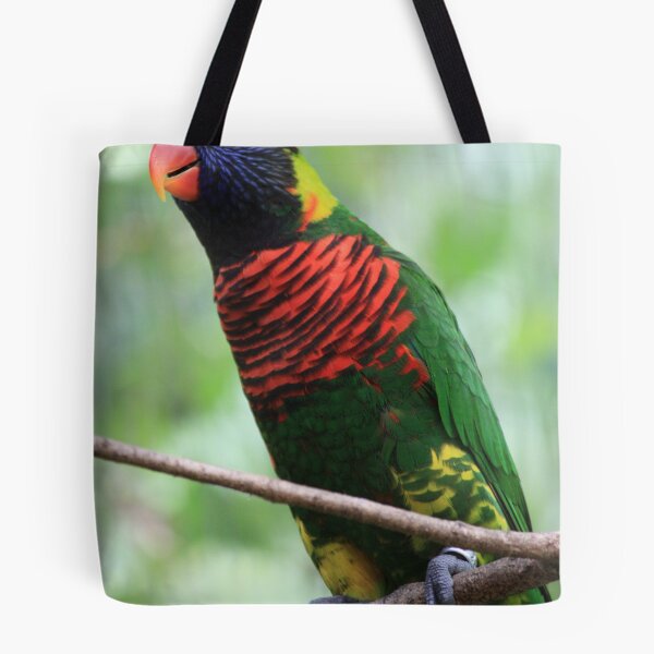 Item preview, Rainbow Lorikeet designed and sold by Indrani Ghose.