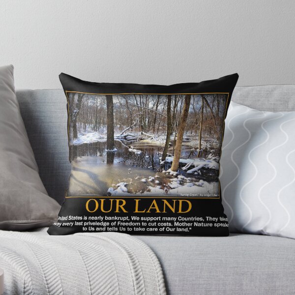 Creek In The Snow Throw Pillow