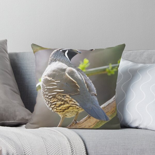Item preview, Quail in Tree 2 designed and sold by Kim Barton.