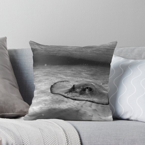 Item preview, Ray and flight designed and sold by jackmbernstein.