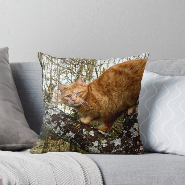 Item preview, What you looking at? designed and sold by Chloé-May Smith.