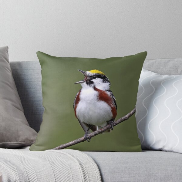Item preview, Belting It Out / Chestnut Sided Warbler designed and sold by Gary Fairhead.