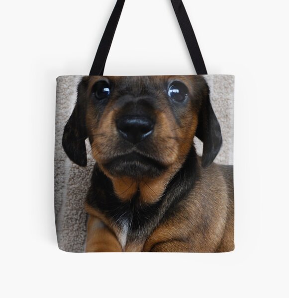 amazon 14 inch laptop case