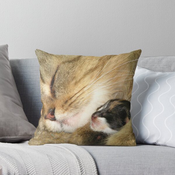 Item preview, KOKY & FIRST BABY CAT designed and sold by Khaled EL Tangeer.