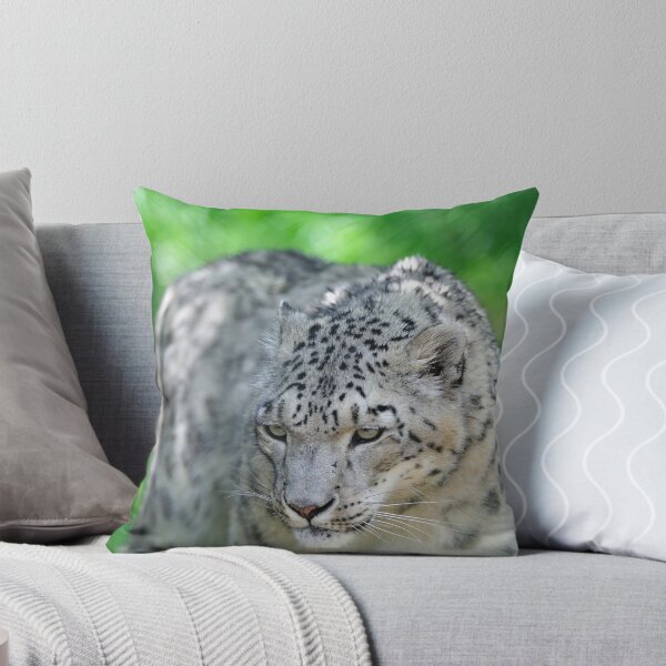 Aperçu de l'œuvre Snow Leopard créée et vendue par Tom Grieve.