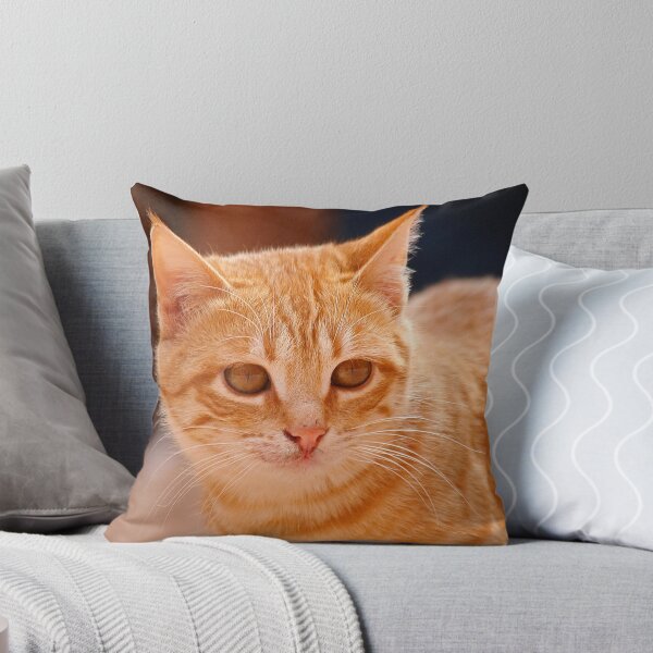 Item preview, Cobre designed and sold by Fran0723.