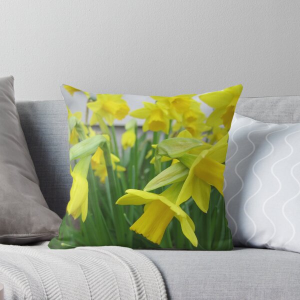 Item preview, Daffodils in full bloom designed and sold by Angela Fisher.