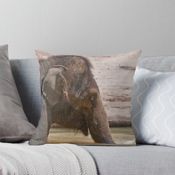 Item preview, Elephant at Melbourne Zoo designed and sold by Tom Newman.