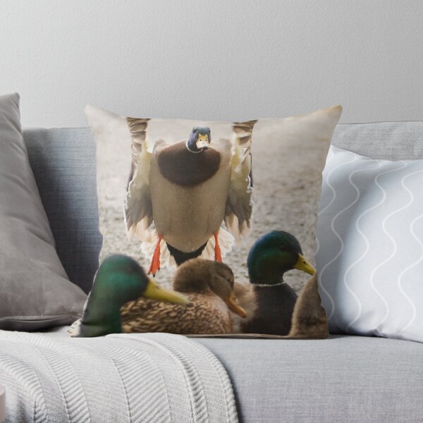 Move Along Throw Pillow