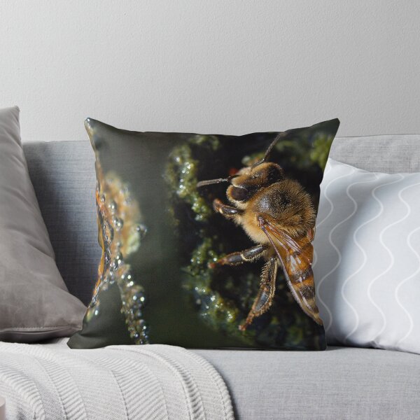 Item preview, Bees Don't Swim designed and sold by Michael  Gunterman.