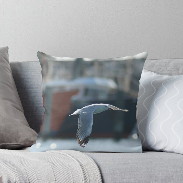 Item preview, Soaring Segull - Mooloolaba - Qld designed and sold by HeidiForeman.