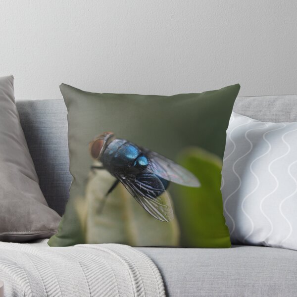 Artikelvorschau, Blue Fly entworfen und verkauft von Raychel.