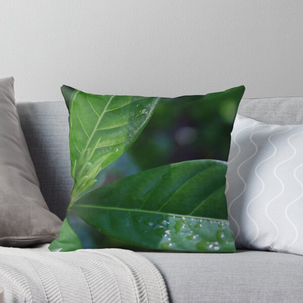 Item preview, Trio - as is designed and sold by Tisa.