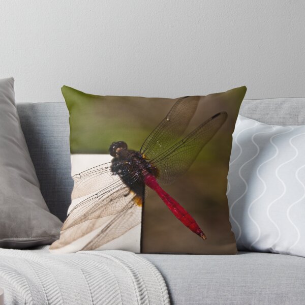Item preview, Dragon fly designed and sold by David Petranker.