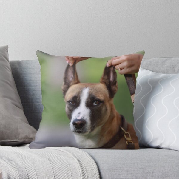 Item preview, You have to be kidding me!?? designed and sold by Jo McGowan.