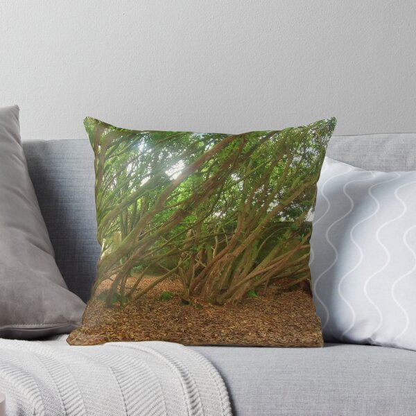 Item preview, Trees, Cornwall designed and sold by MichelleRees.
