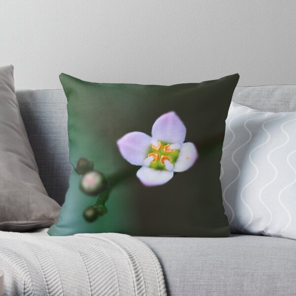 Zieria smithii Throw Pillow