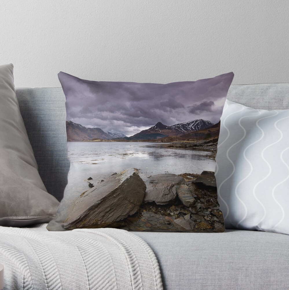 Item preview, Throw Pillow designed and sold by tontoshorse.