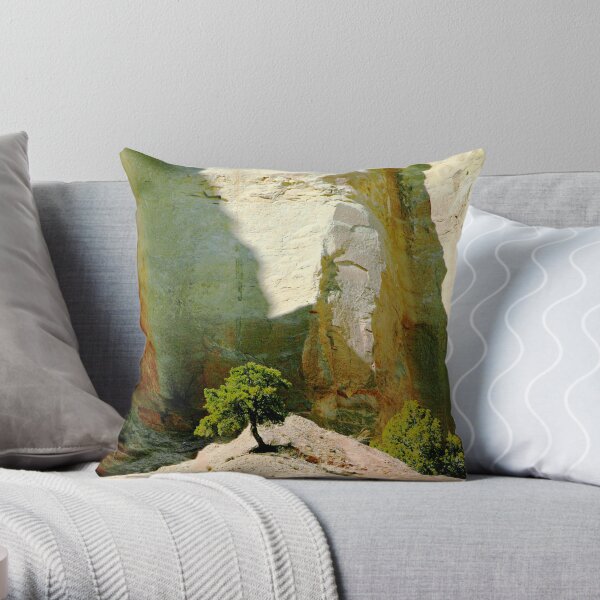 tree in the light of wonderful photo by CheyAnne Sexton Throw Pillow