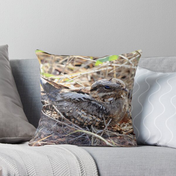 Item preview, Fiery Necked Nightjar designed and sold by John Banks.
