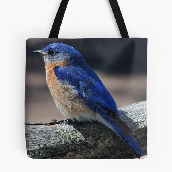 Item preview, Eastern Bluebird  designed and sold by Bill Miller.