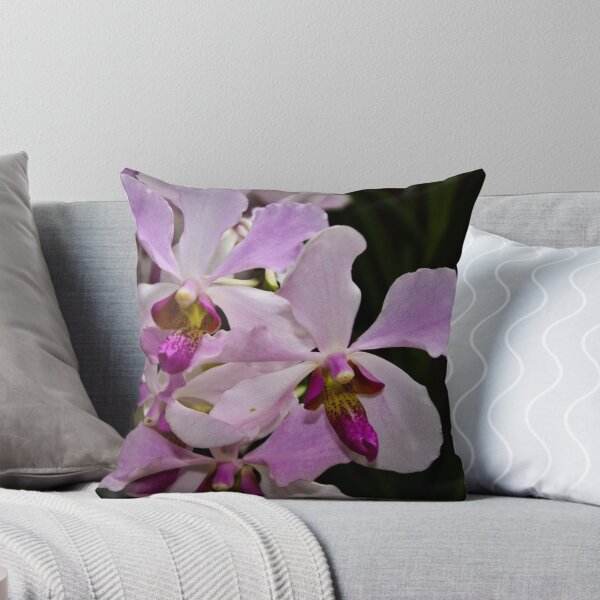 Item preview, Pink Orchids, Singapore, Botanical Park designed and sold by KBloodGallery.